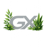 GXKAL logo